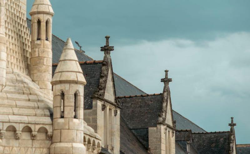 Les toits de l'Abbaye de Fontevraud © A Pilot, NEF Animation