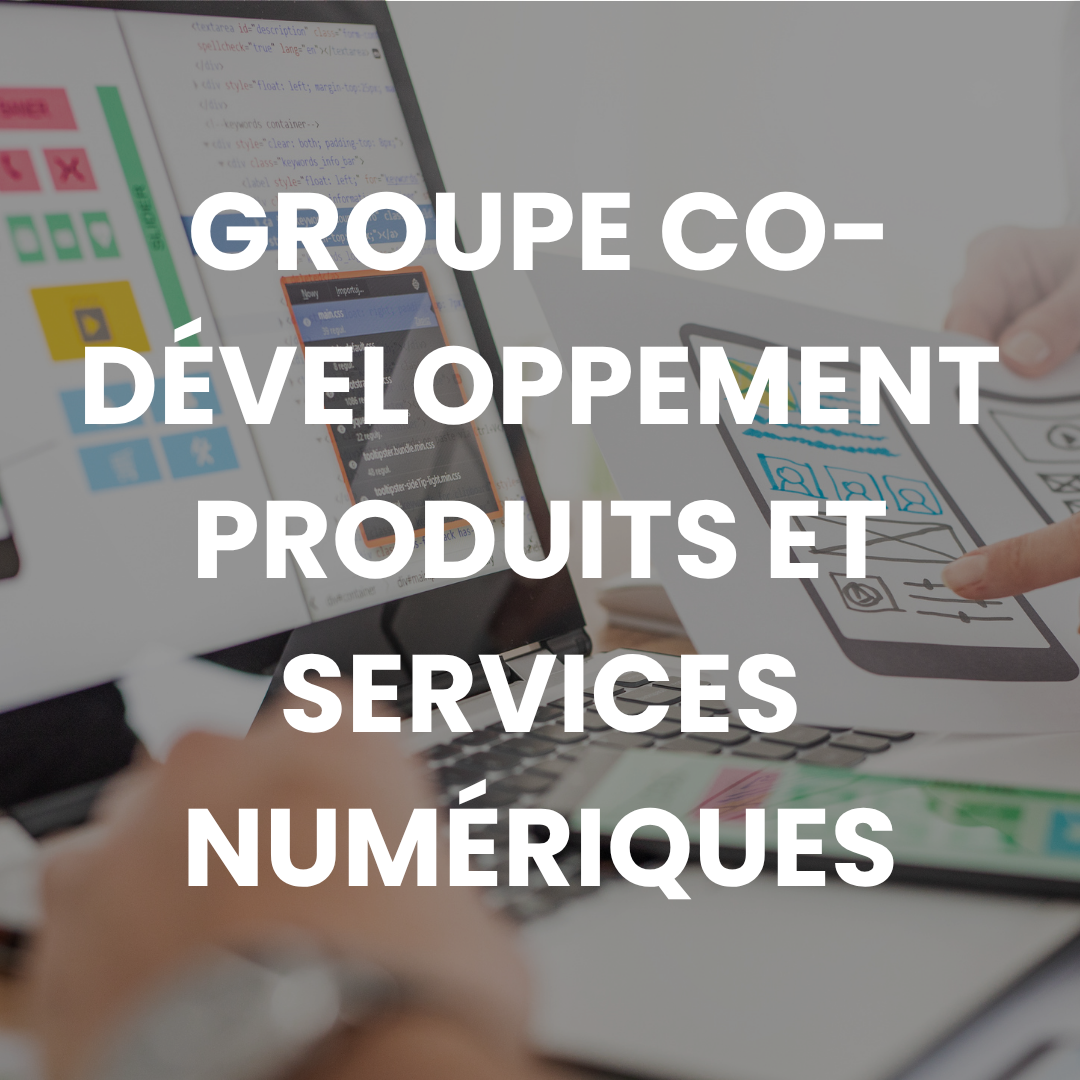 Groupe Co-développement produits et services numériques